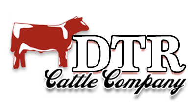 DTR Cattle